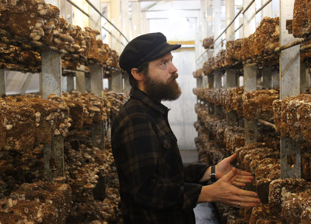 A man standing in a room full of large piles of mushrooms.