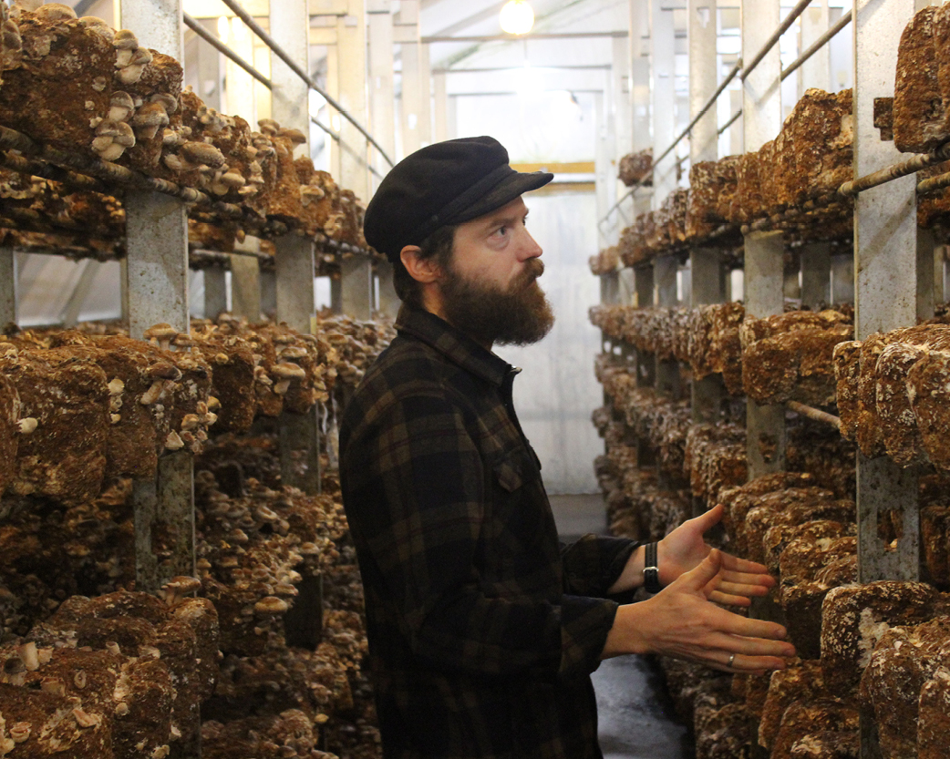 A man standing in a room full of large piles of mushrooms.