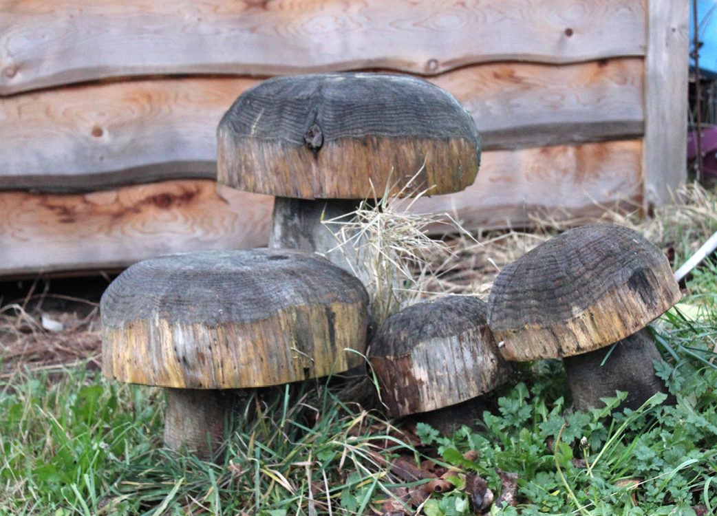 Wooden carvings closely resembling mushrooms