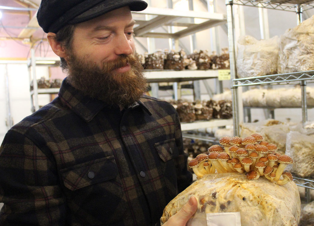 Bearded man in plaid shirt holding mushrooms in a store.