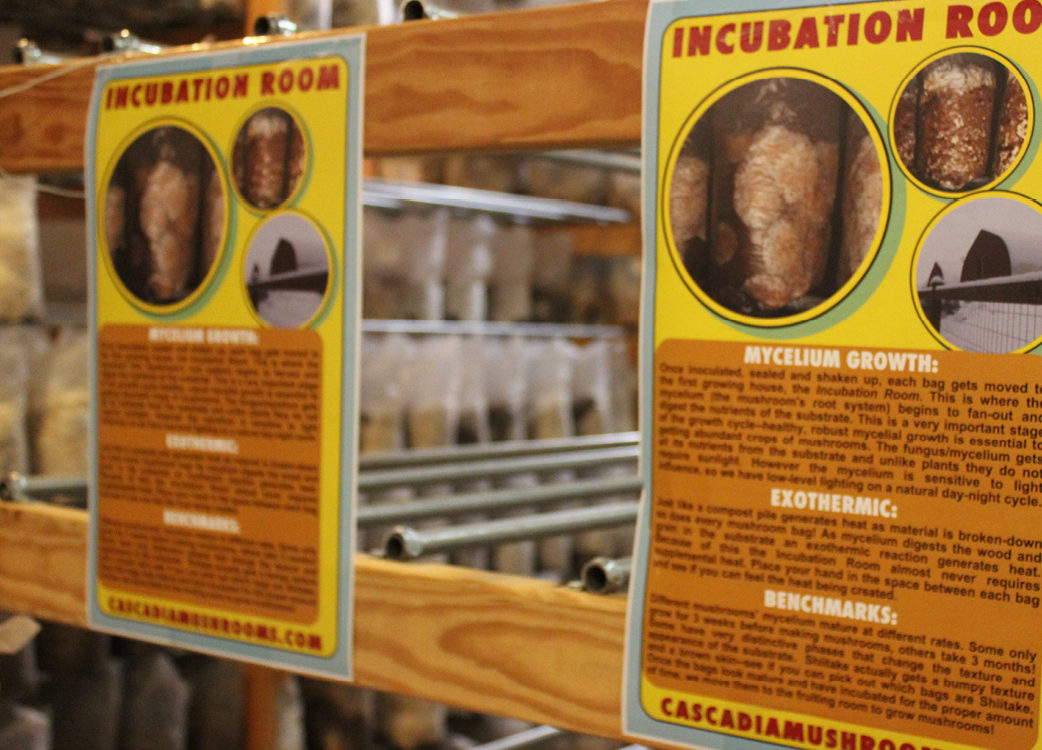 The image shows a poster with the text INCUBATION ROOM and an illustration of a plant growth chamber.