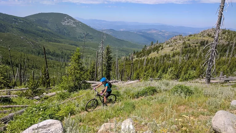 A person riding a bicycle on a mountain trail.