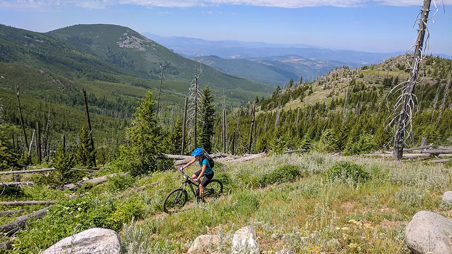 A person riding a bicycle on a mountain trail.