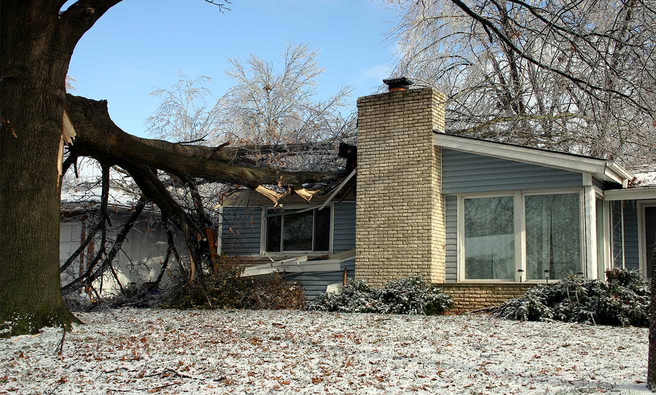 A large oak tree that has fallen on a house.