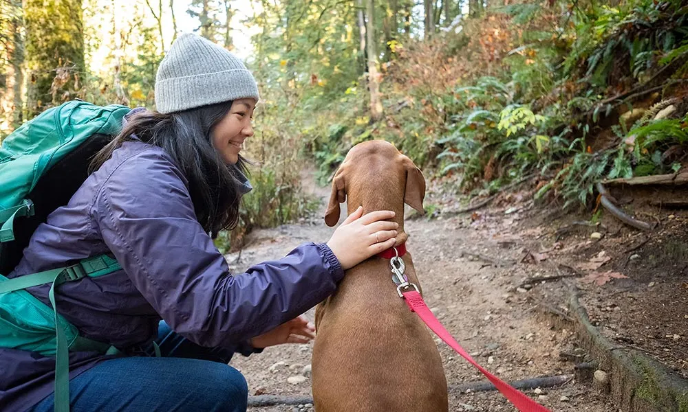 Hiker with dog in woods