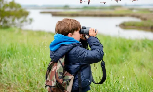 Young boy with binoculars looking at birds.