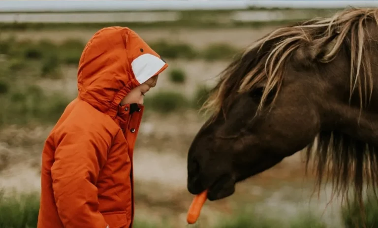 A person in a red jacket standing next to a horse.