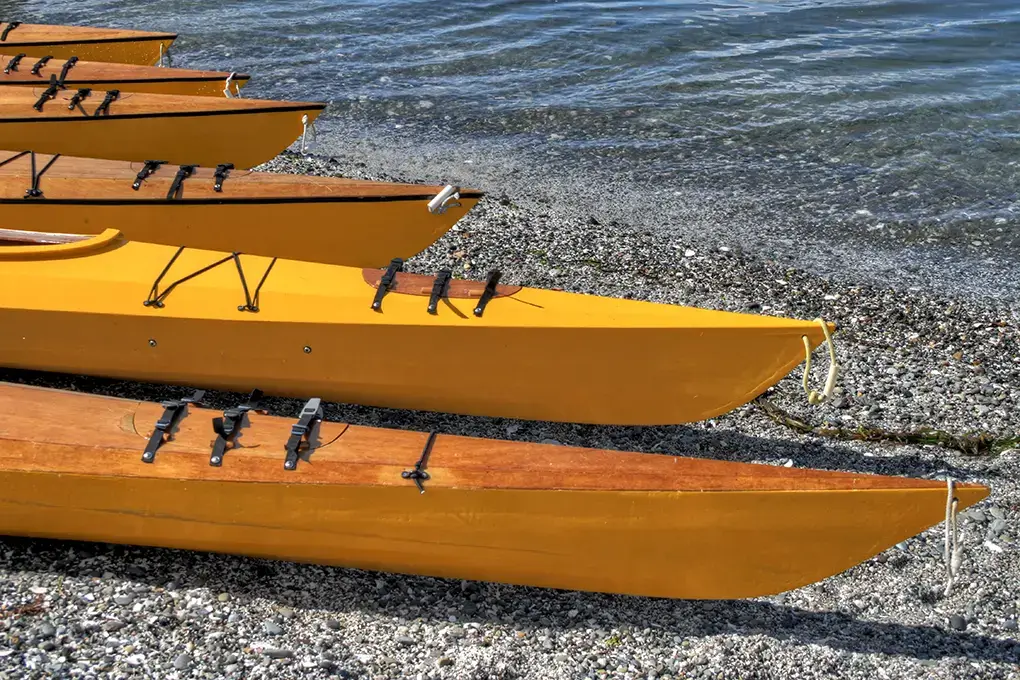 yellow kayaks on a beach